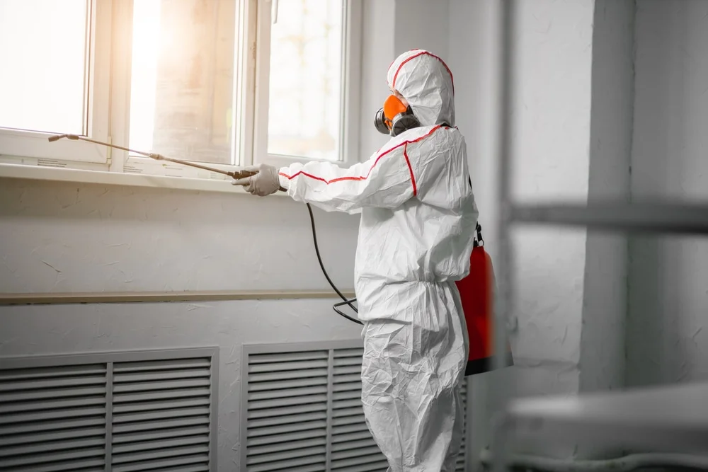 Professional mold remediation services in Satsuma, AL